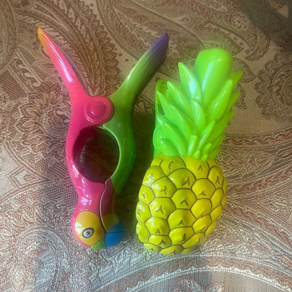 Colorful Parrot and Pineapple Kids Toy Set